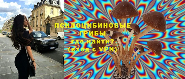 крисы Алзамай
