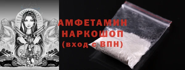 крисы Алзамай