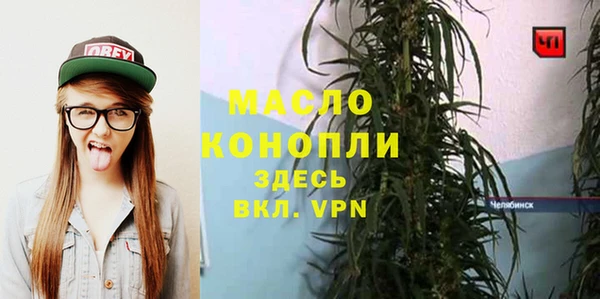 дмт Алексин