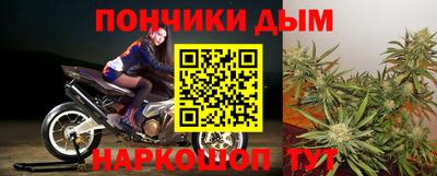 прущие грибы Бийск