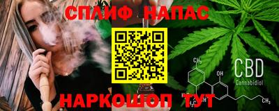 прущие грибы Бийск