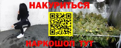 прущие грибы Бийск