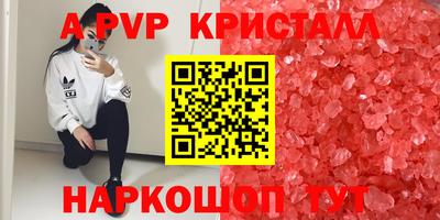 прущие грибы Бийск
