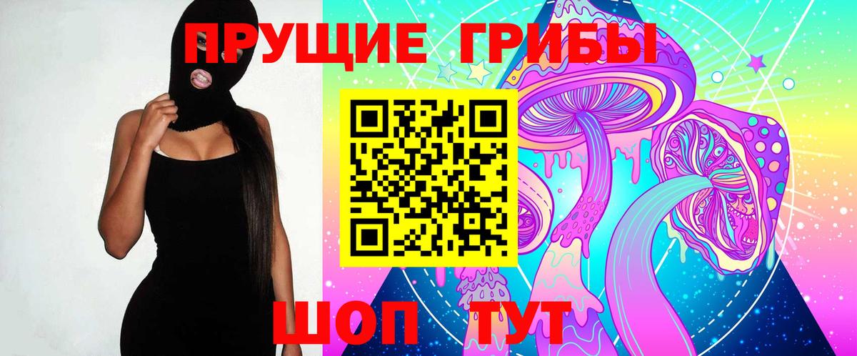 купить наркоту  Вход с VPN  Железноводск  Галлюциногенные грибы Psilocybe 