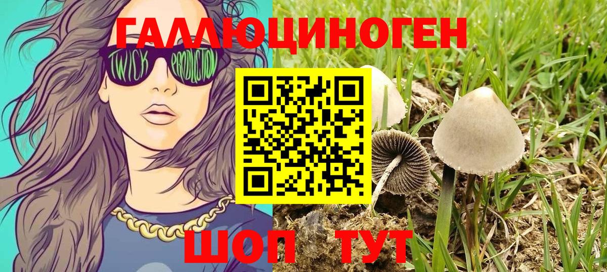 Галлюциногенные грибы прущие грибы Железноводск