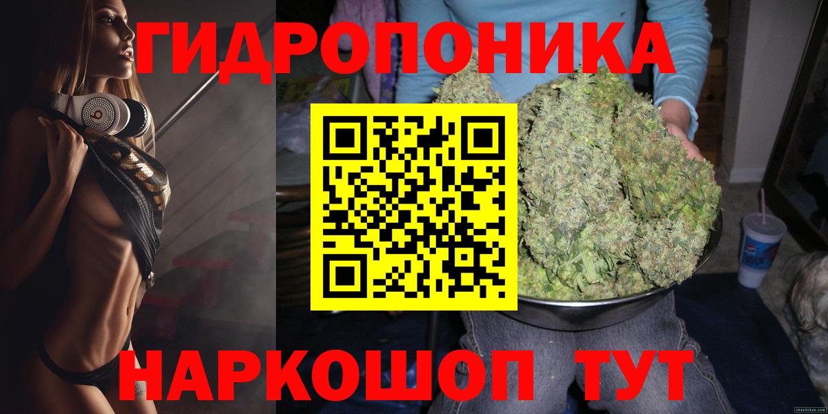 Канабис конопля  Конопля семена  Железноводск  Вход с VPN  Бошки Шишки конопля 